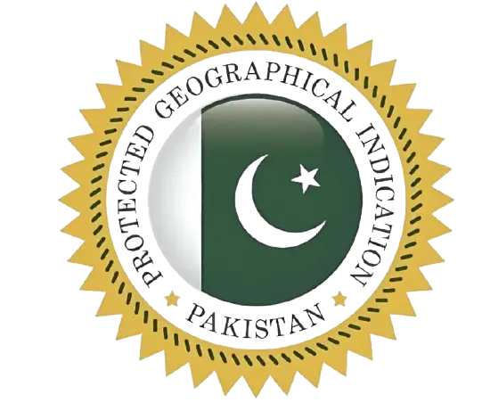 Sindhri Mango